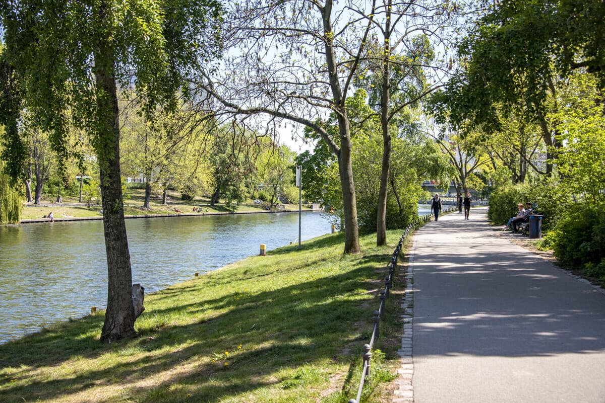 The Location